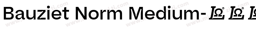 Bauziet Norm Medium字体转换